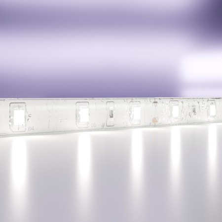 Maytoni LED tape, 24V, IP65, 2835, 4.8W/m, 6000k, 5 m, monochrome glow
