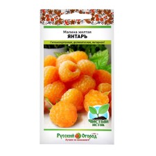 Малина желтая Янтарь (22шт)