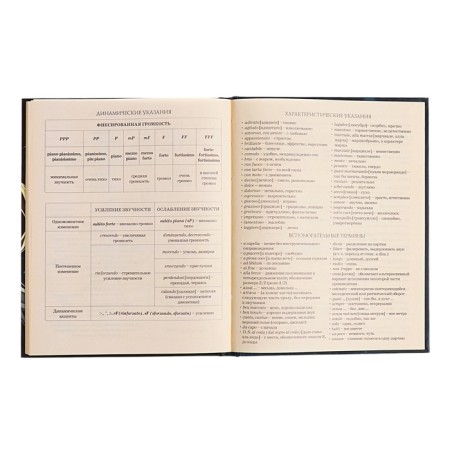 Diary for a music school, 48 sheets, hard cover, matte lamination, foil embossing, reference information, block 60g/m2-15