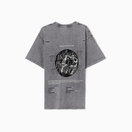 T -shirt male MIST EARTH, col. Gray, rr XL-10