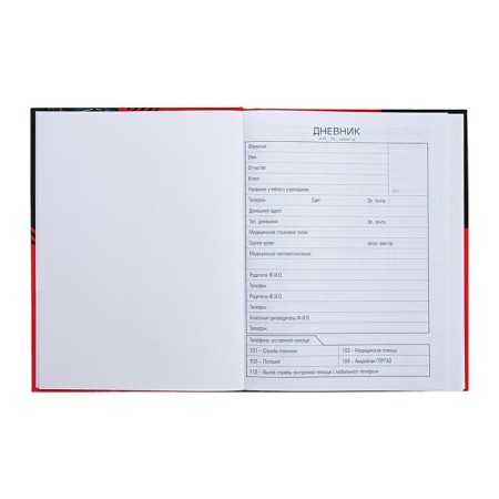 Universal diary for grades 1-11 sports cars, hard cover, glossy lamination, 40 sheets-4