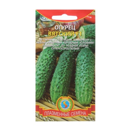 Cucumber seeds "Vyatka" F1 super -rapid