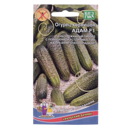 Seeds Cucumber Adam F1, 5 pcs.