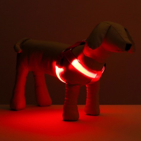 Shleika luminous size m, sling 2.5 cm, og 38-50 cm, 3 glow modes red-7
