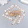 Decor for creativity metal, enamel "Skeleton of fish" white 3.5x1 cm