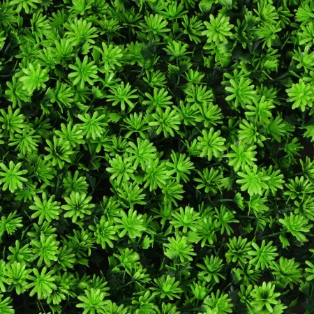 Decorative panel 50*50 cm high moss "Greengo"-13