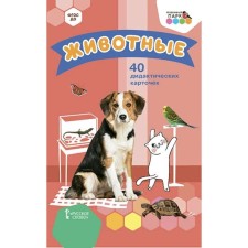 Animals. 40 cards