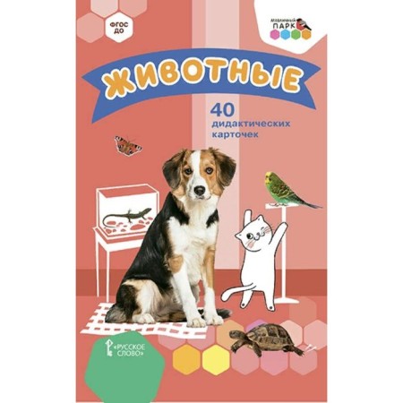 Animals. 40 cards