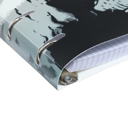 Notebook on rings A5, 100l CL comics, regional plastic, tisn foil, BLPS BL-3