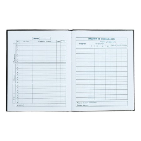 School diary for grades 1-4, "robots", cover covered paper, glossy lamination, foil embossing, universal cheat sheet, 48 sheets, block 65g/m2-9
