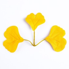 Decor for creativity 