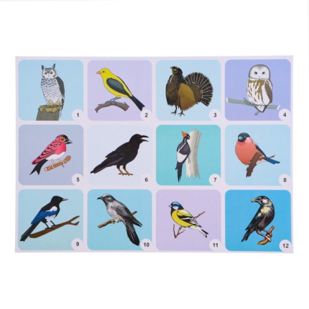 Set of posters "Wild and Pets and Birds" with methodological recommendations, 4 poster 1047263-2