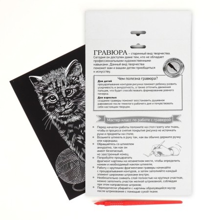 Engraving "cat" with a metallic effect "silver" A5-3