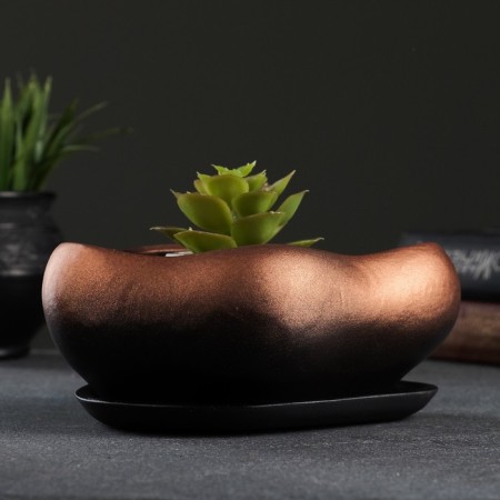 Bonsai Small pot of bronze, 0.6, l/ 17x14x8cm