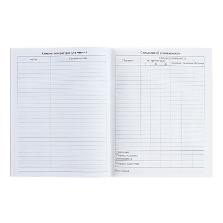 Universal diary for grades 1-11, "sneakers", soft cover, 40 sheets-10