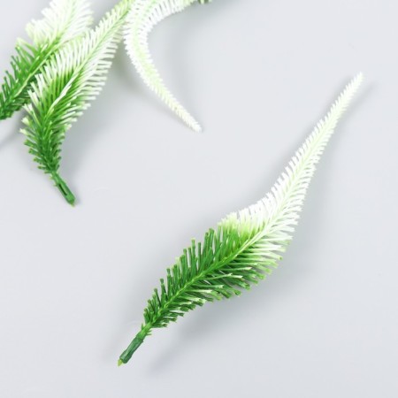 Decor for creativity "Leaves of the thin fern gradient" set of 4 pcs 17 cm