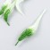 Decor for creativity "Leaves of the thin fern gradient" set of 4 pcs 17 cm