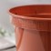 Flower pot “Classic C”, 1.5 l, d = 15, the color of the terracott