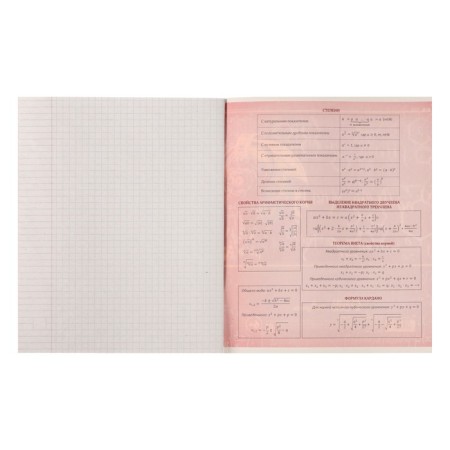 Substantial note Calligrata "Metal", 48 sheets in the algebra cage, with reference material, covered cardboard, block No. 2, whiteness 75% (gray sheets)-2
