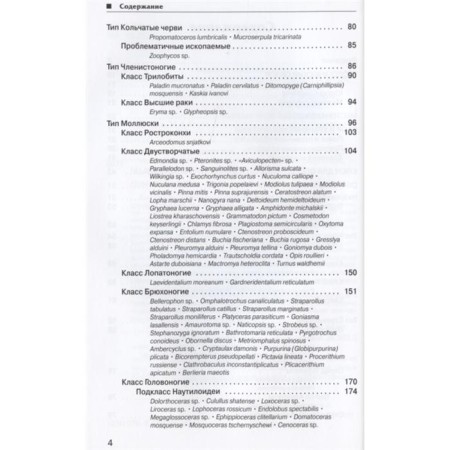 Ископаемые Московского региона. Шмаков А.-2