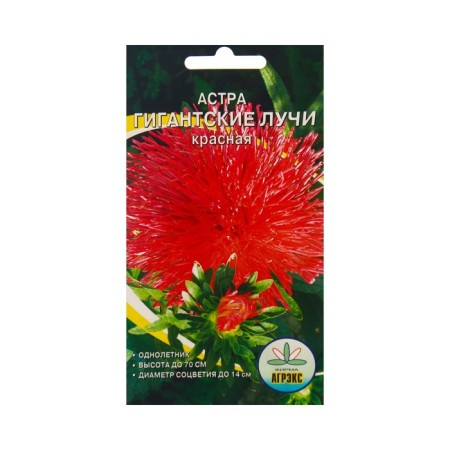 Flower seeds Astra giant rays red, 0.2 g