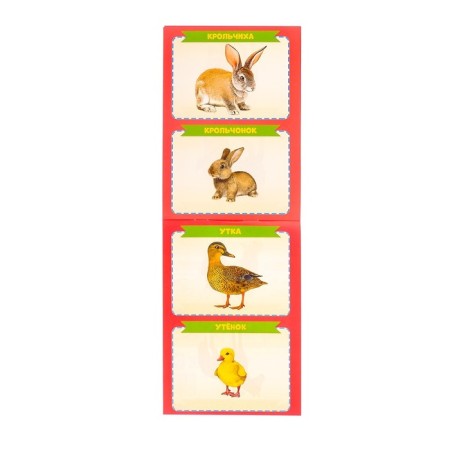 Books developing the set “We grow together”, 8 pcs. 20 p.-1