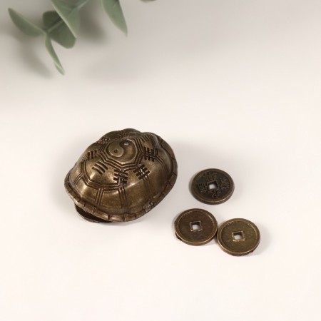 Metal souvenir "Claims with coins" d = 1.1 cm 3x2.4 cm-3