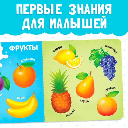 Cardboard book "Fruits, Vegetables and not only", 10 p.-2