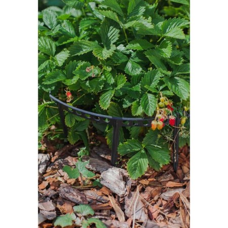Builder for strawberries, d = 11 cm, plastic, set 10 pcs., Mix color-7