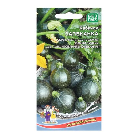 Semen zucchini "Casserole", 6 pcs