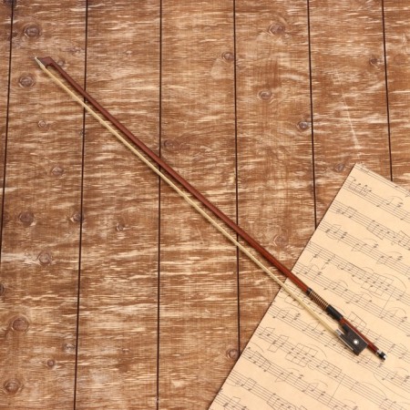 Music Life Life 3/4 High Quality.