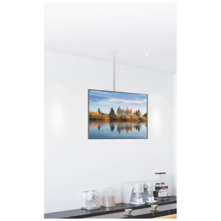 Bracket Uniteki LCD2101NW WHITE-7