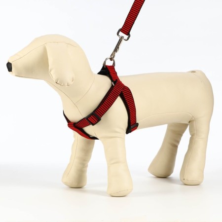 Acunition set is embossed, leash 120 x 2 cm, og 44-50 cm, red-black-2