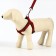 Acunition set is embossed, leash 120 x 2 cm, og 44-50 cm, red-black