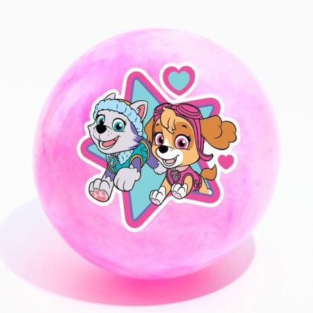 Children's ball PAW Patrol "Sky and Everest", 22 cm, 60 g, marble, mix-4