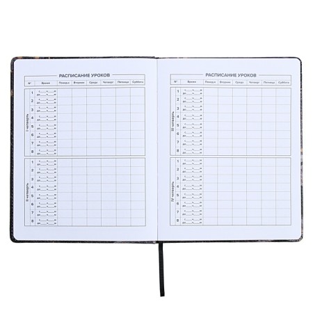 Universal Diary Grade 1-11, 48 sheets "Break the Rules", a solid cover of artificial leather, lies, an offset unit-7