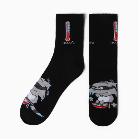 Male socks kaftan "raccoon" p. 41-44 (27-29 cm)