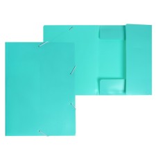 A4, 500 μm elastic band, calligrata, Pastel, spine 20 mm, up to 150 sheets, embossing 