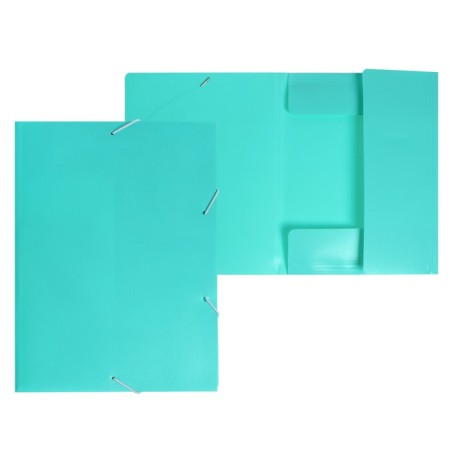 A4, 500 μm elastic band, calligrata, Pastel, spine 20 mm, up to 150 sheets, embossing "sand", mint