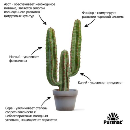 Purshat-m spray for cacti and succulents, 0.5l-4