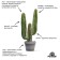 Purshat-m spray for cacti and succulents, 0.5l
