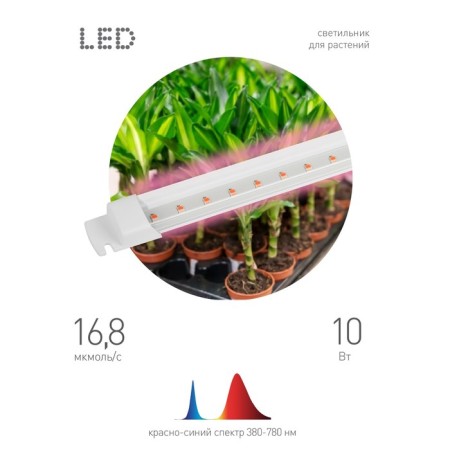 Lamp for plants, phytolamp LED linear era Fito-T5-RB-SLIM red-blue spect-2