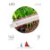 Lamp for plants, phytolamp LED linear era Fito-T5-RB-SLIM red-blue spect