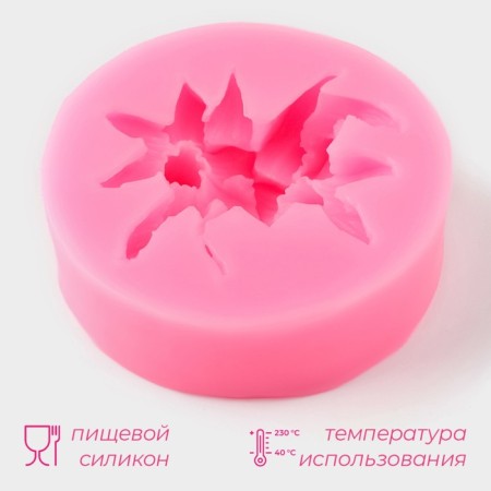 Mold Dolyana "Flowering", silicone, d = 7 cm, color mix-1