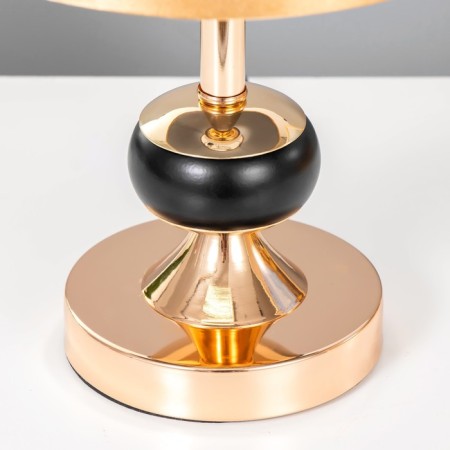 Aryel light lamp E27 40w Black-gold 21x21x34 cm Risalux-4