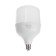 LED lamp In Home Led-Hp-Pro, 40 W, 230 V, E27, E40, 6500 K, 3800 lm, with an adapter