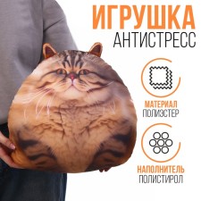 Antistress toy 