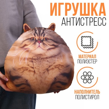 Antistress toy "Cat"