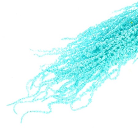 Dry amaranth flowers, 100 g, sheet size: from 50 to 60 cm, blue color-4
