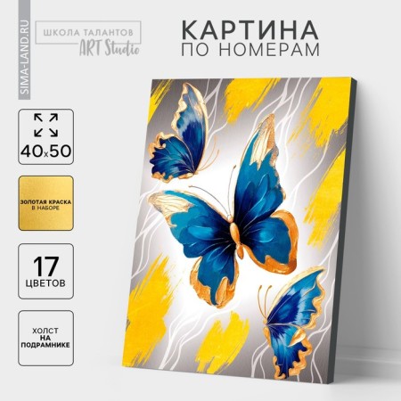Picture on numbers on a canvas with a subframe with a gold paint "Butterfly", 40 x 50 cm